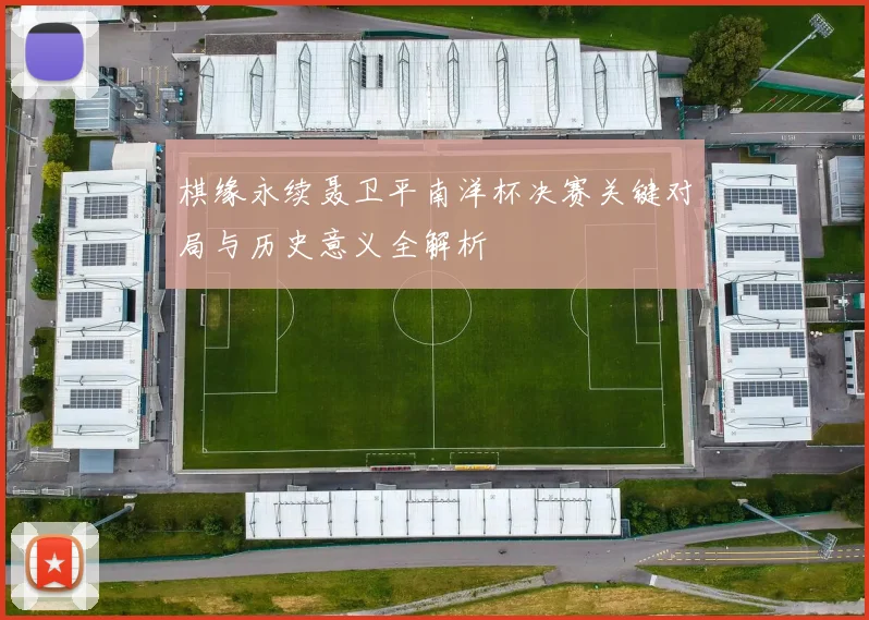 棋缘永续聂卫平南洋杯决赛关键对局与历史意义全解析