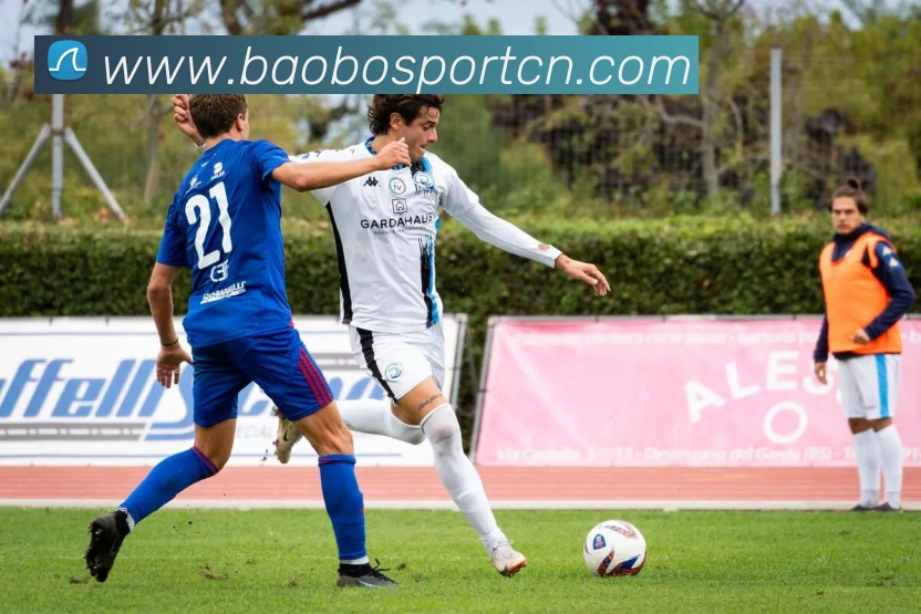 宝博体育品牌故事