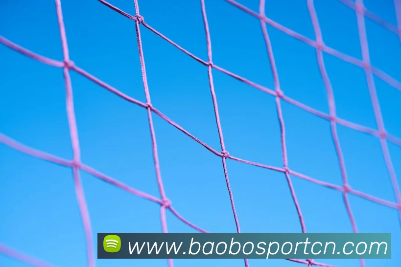 App Interface Preview