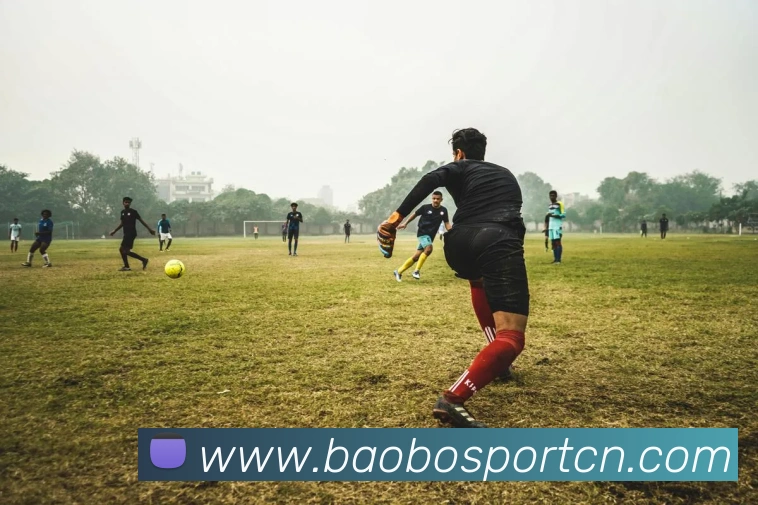 宝博体育APP 封面图